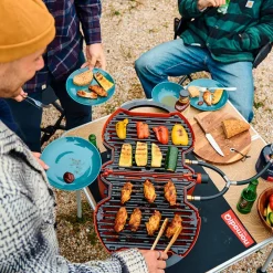 Portabel gasolgrill 3.0, army green