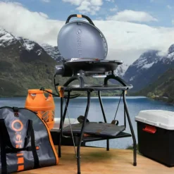 500 portabel gasolgrill, svart