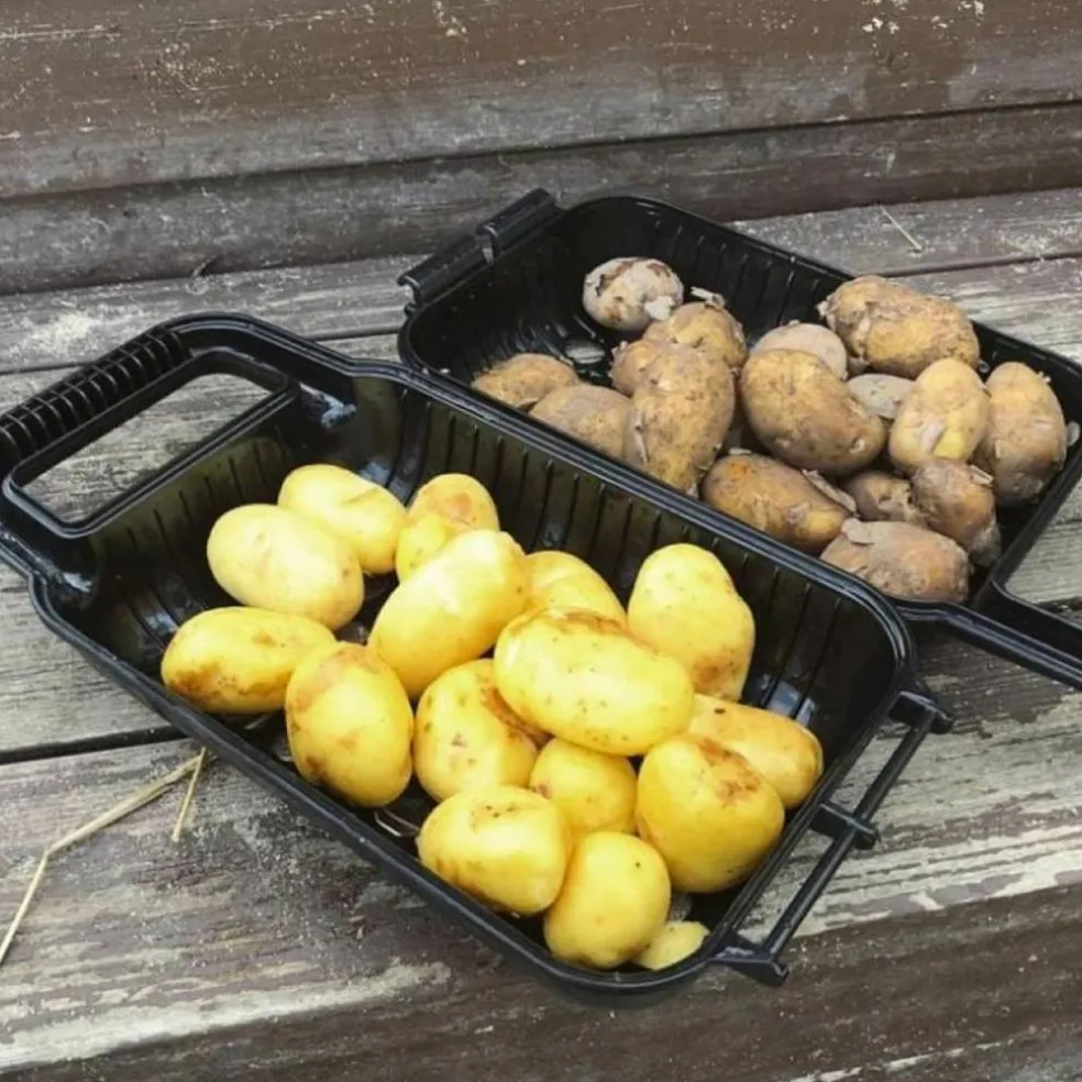 Potturi potatisskrubb