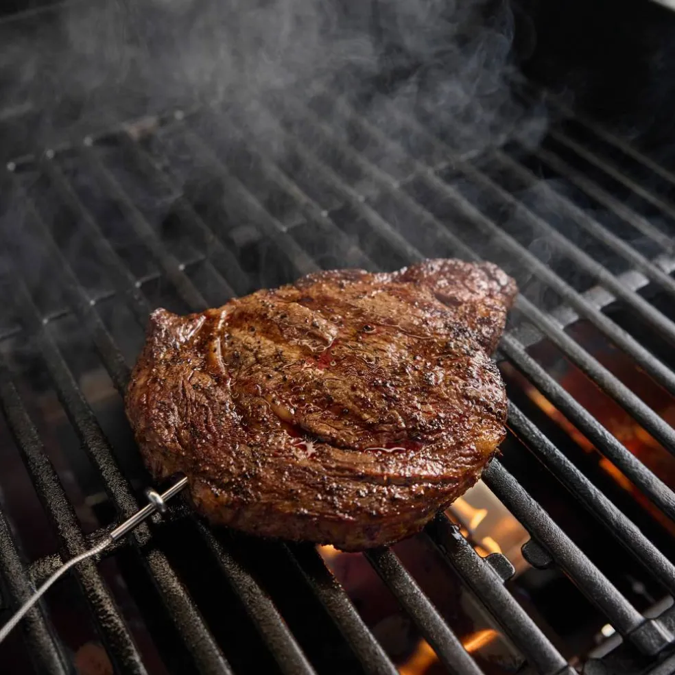 Premium Mätsticka Grilltemperatur