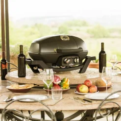 PRO285 Gasolgrill bärbar
