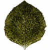 Riviera Hydrangea Leaf serveringsfat 17 cm