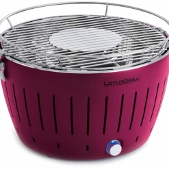 Rökfri kolgrill Antracitgrå