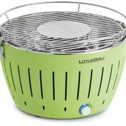 Rökfri kolgrill Grön