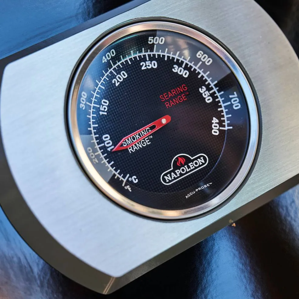 Rogue 525-2 Gasolgrill 4 Brännare Svart