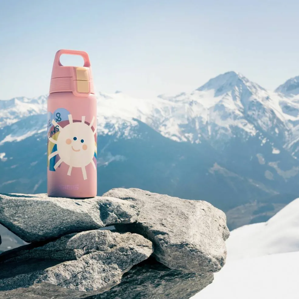 Shield Therm ONE kids termosflaska 0,5 liter, fly away