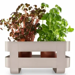 Självvattnande Herb Organiser, sand
