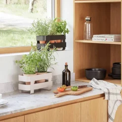 Självvattnande Herb Organiser, sand