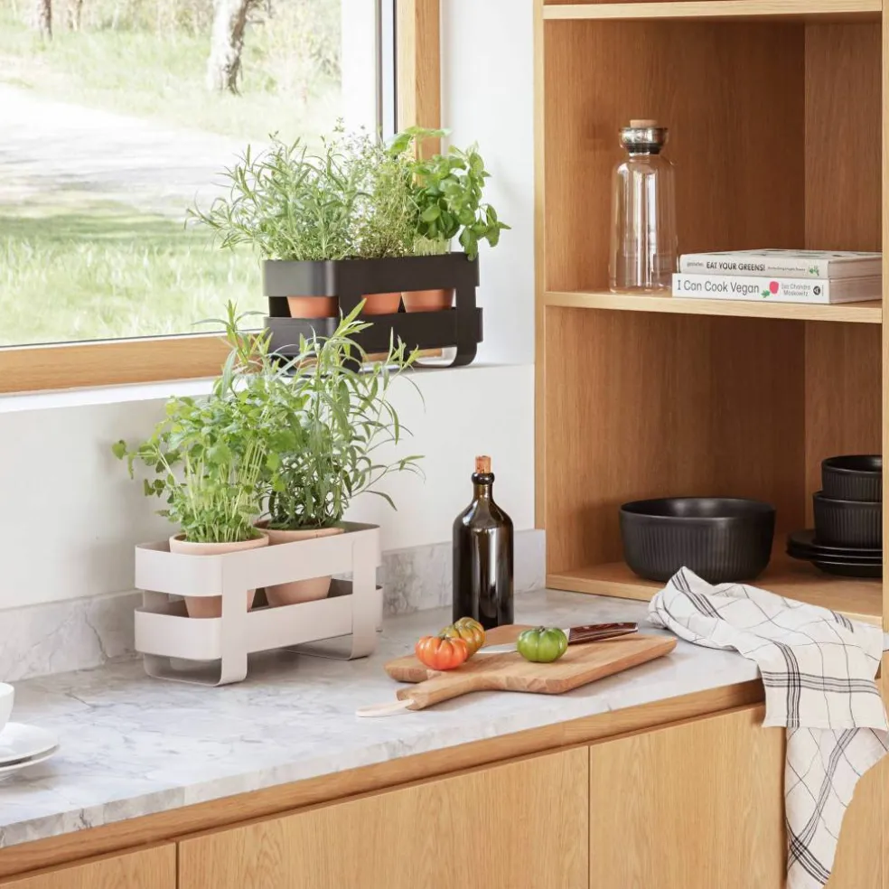Självvattnande Herb Organiser, sand