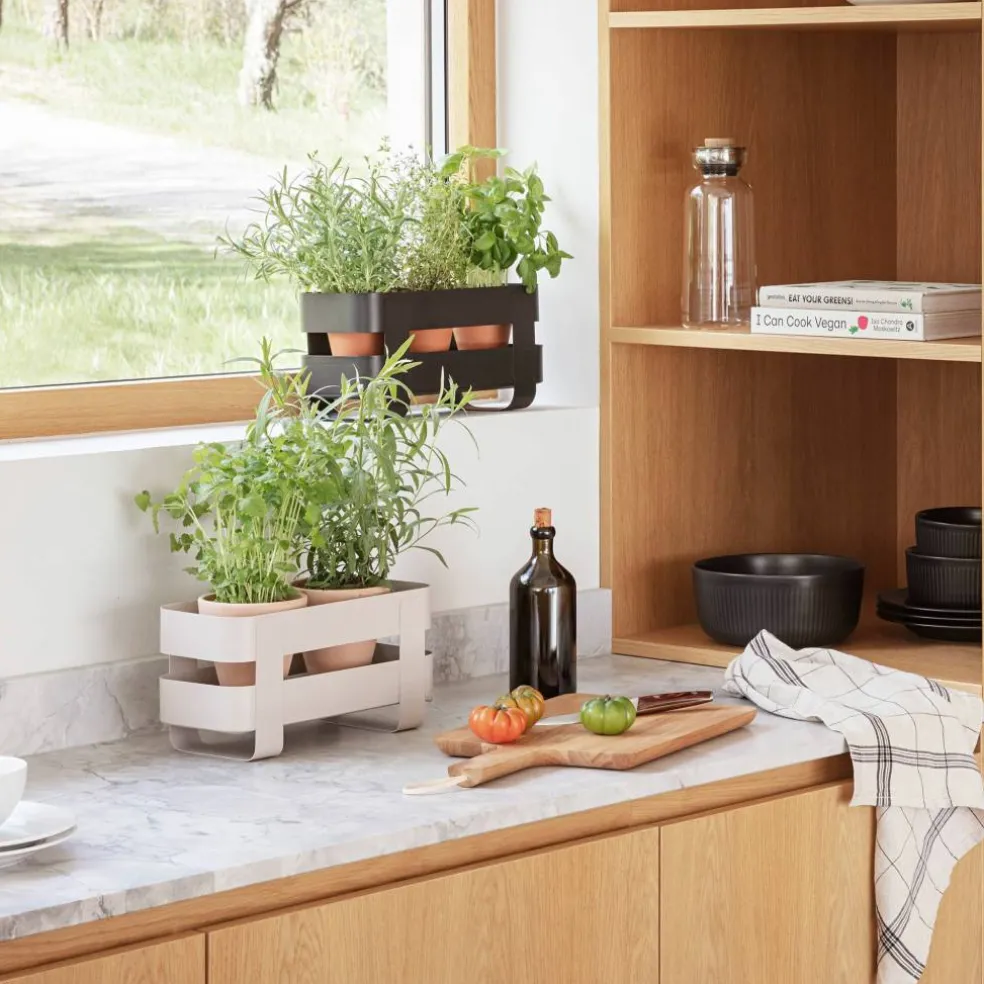 Självvattnande Herb Organiser, sand
