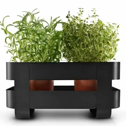 Självvattnande Herb Organiser, svart