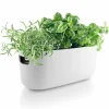 Självvattnande Herb Organiser Svart