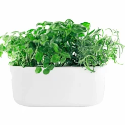 Självvattnande Herb Organiser Svart
