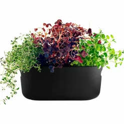 Självvattnande Herb Organiser Svart