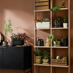 Självvattnande Herb Organiser Svart