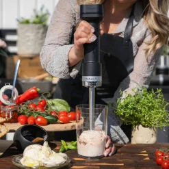 Sladdlös stavmixer 12V utan batteri