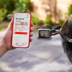 Smart Hub Termometer Display med Mottagare