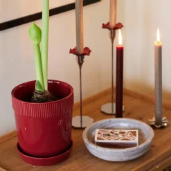 Stenskål medium