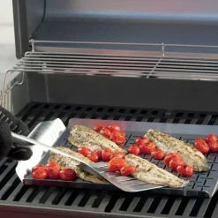 Style Grillform till fisk