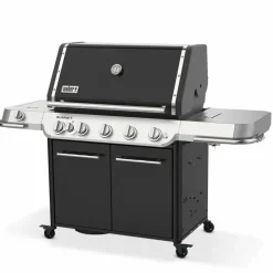 Summit FS38 E Gasolgrill