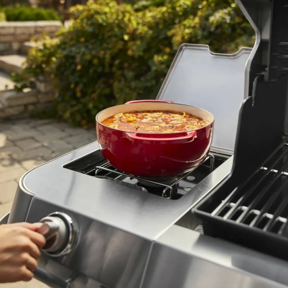 Summit FS38 E Gasolgrill