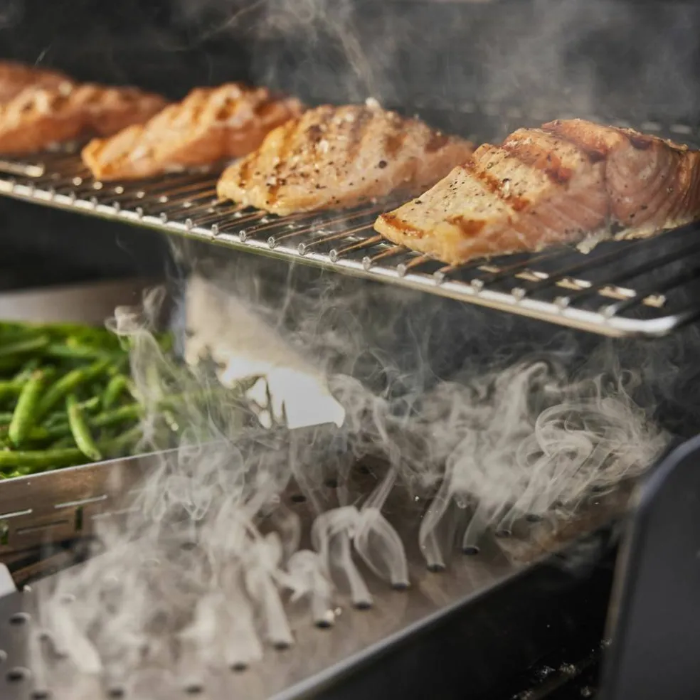 Summit FS38 E Gasolgrill