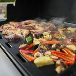 Summit FS38 S gasolgrill, rostfritt stål