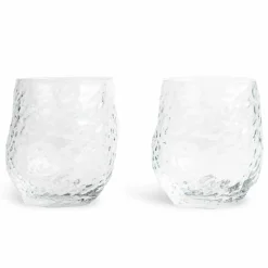 Swan glas 2-pack