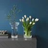 Vas 23 cm Transparent