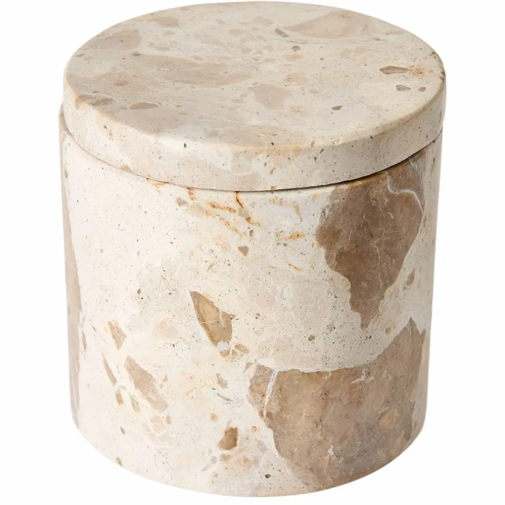 Vita kruka, seashell