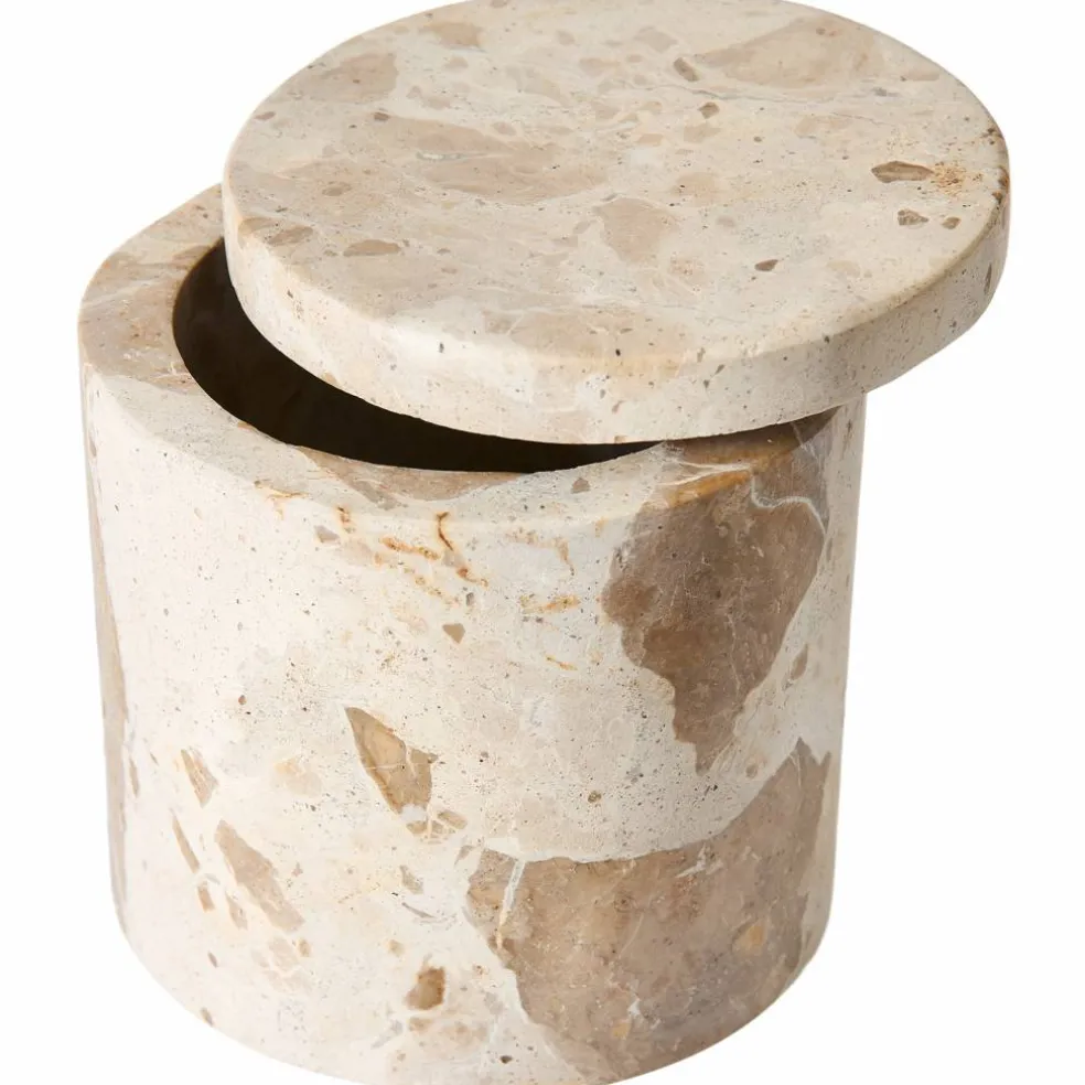 Vita kruka, seashell