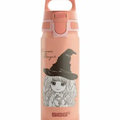 Warner Bros WMB ONE flaska 0,6 liter, Harry Potter