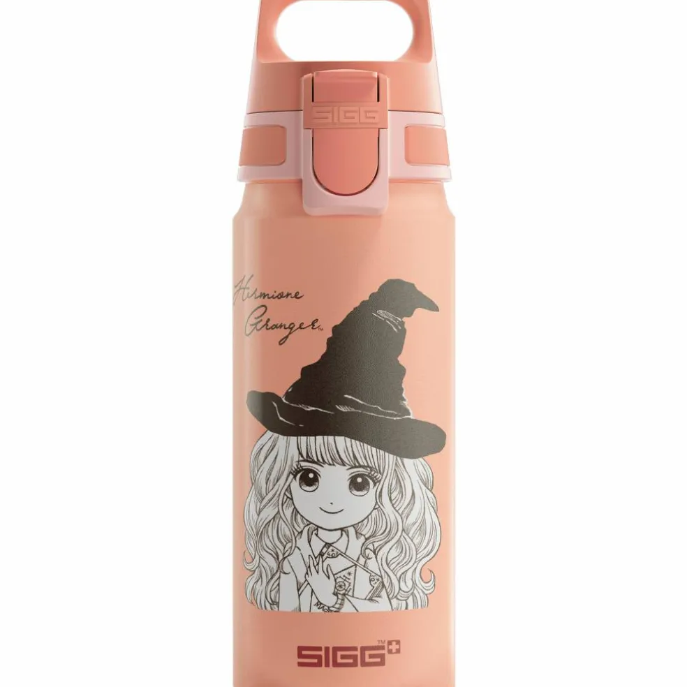 Warner Bros WMB ONE flaska 0,6 liter, Harry Potter