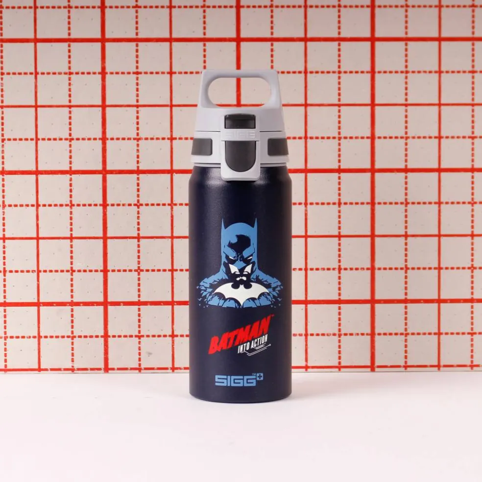 Warner Bros WMB ONE flaska 0,6 liter, Harry Potter