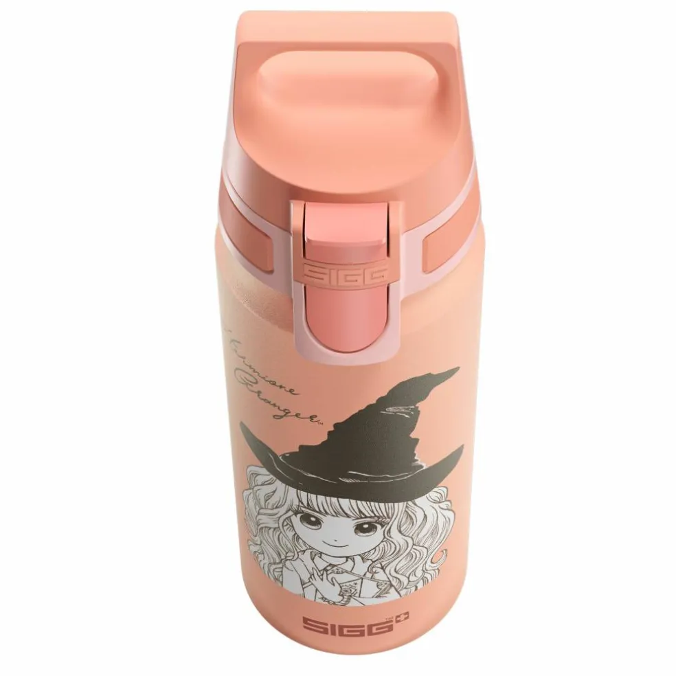 Warner Bros WMB ONE flaska 0,6 liter, Harry Potter