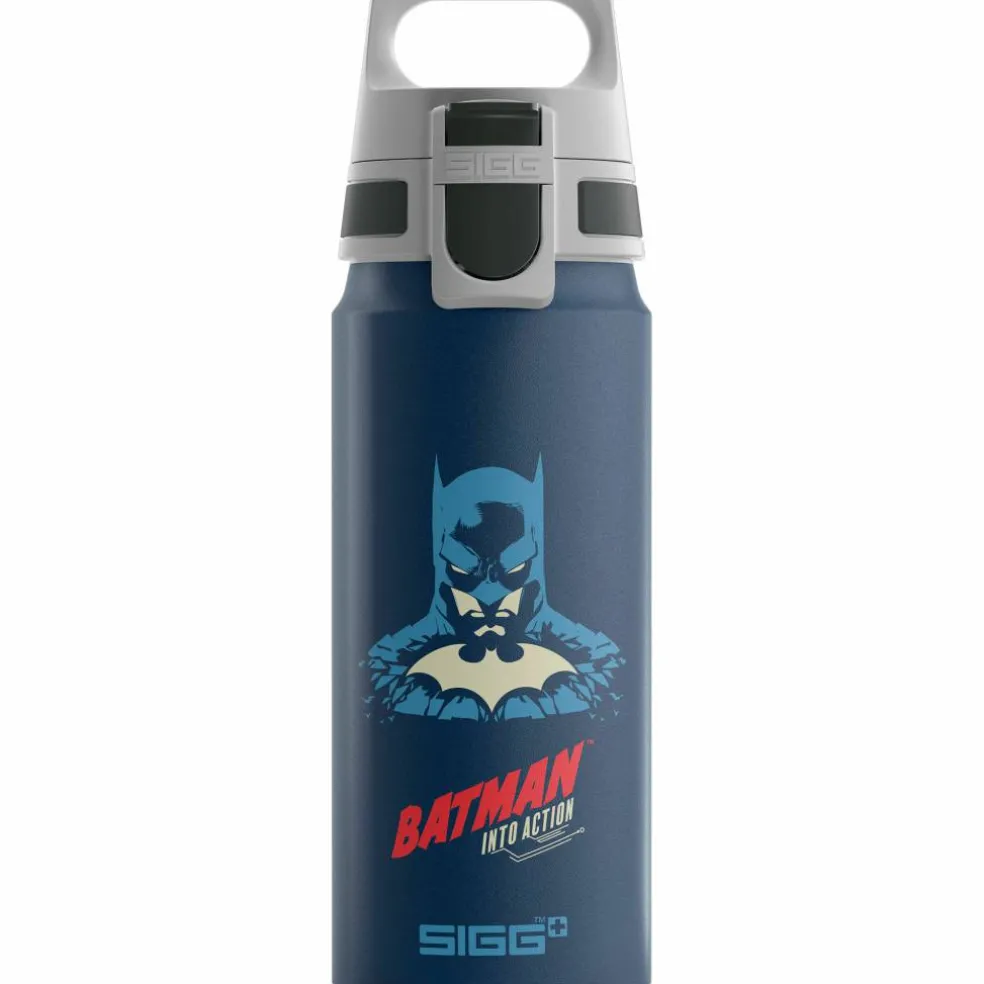 Warner Bros WMB ONE flaska 0,6 liter, Harry Potter
