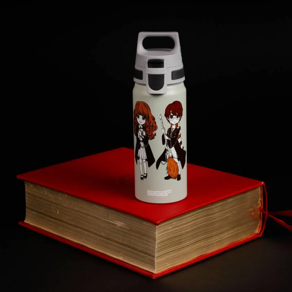 Warner Bros WMB ONE flaska 0,6 liter, Harry Potter