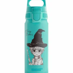 Warner Bros WMB ONE flaska 0,6 liter, Harry Potter
