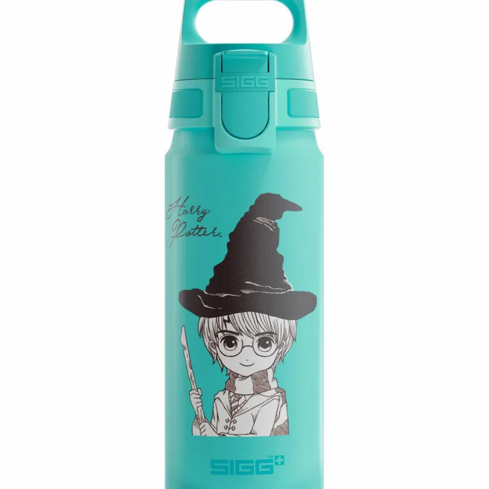 Warner Bros WMB ONE flaska 0,6 liter, Batman Action Blue