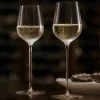 X Frantzén Orrefors x Björn Frantzén champagneglas 28cl 2-pack
