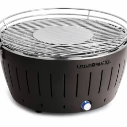 XL Rökfri kolgrill Lila