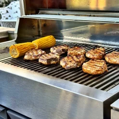 Z gasolgrill, rostfri/svart