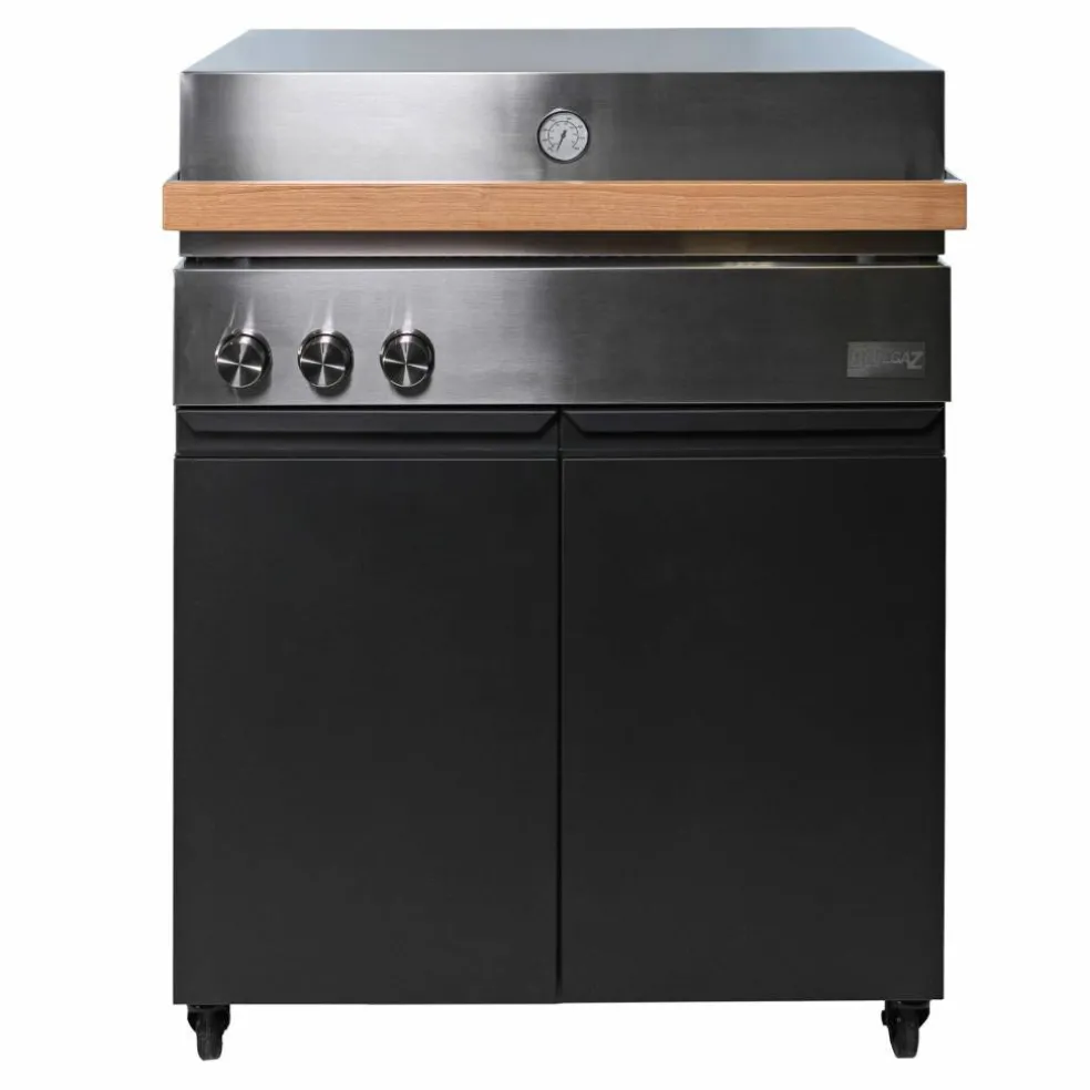 Z gasolgrill, rostfri/svart