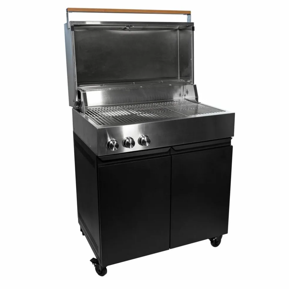 Z gasolgrill, rostfri/svart